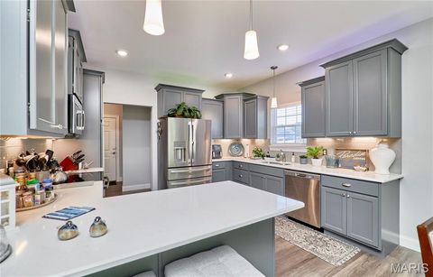 Tiny photo for 317 Orchid Court, Troy, MO 63379 (MLS # 25066360)