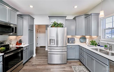 Tiny photo for 317 Orchid Court, Troy, MO 63379 (MLS # 25066360)