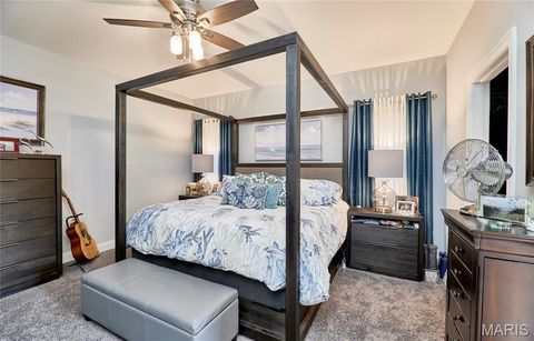 Tiny photo for 317 Orchid Court, Troy, MO 63379 (MLS # 25066360)