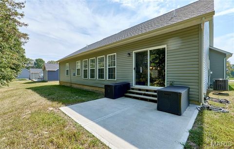 Tiny photo for 317 Orchid Court, Troy, MO 63379 (MLS # 25066360)