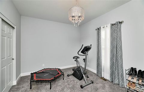 Tiny photo for 317 Orchid Court, Troy, MO 63379 (MLS # 25066360)