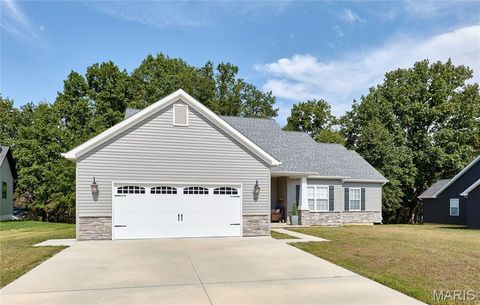 Tiny photo for 317 Orchid Court, Troy, MO 63379 (MLS # 25066360)