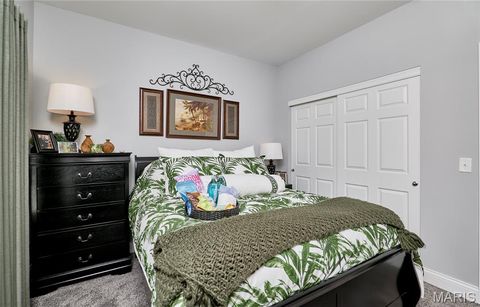 Tiny photo for 317 Orchid Court, Troy, MO 63379 (MLS # 25066360)