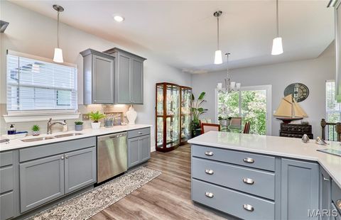 Tiny photo for 317 Orchid Court, Troy, MO 63379 (MLS # 25066360)