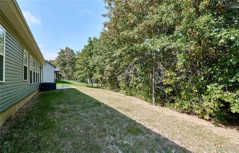 Tiny photo for 317 Orchid Court, Troy, MO 63379 (MLS # 25066360)
