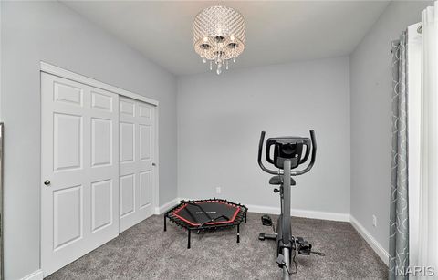 Tiny photo for 317 Orchid Court, Troy, MO 63379 (MLS # 25066360)