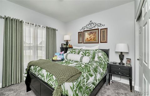 Tiny photo for 317 Orchid Court, Troy, MO 63379 (MLS # 25066360)