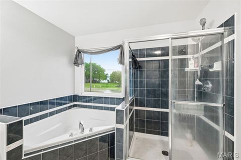 Tiny photo for 1010 Wake Court, Wentzville, MO 63385 (MLS # 26030485)