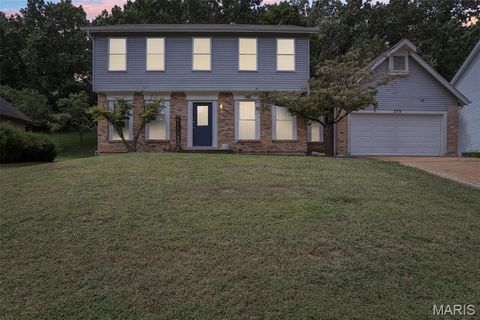 375 Thunderhead Canyon Drive Wildwood MO 63011