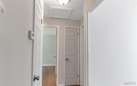Tiny photo for 8135 Bloom Drive, St Louis, MO 63114 (MLS # 26031283)