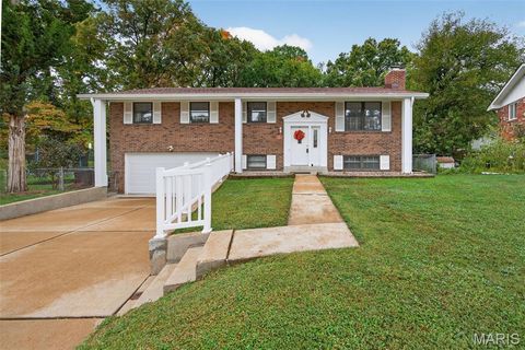 1104 Brookville Court St Louis MO 63125