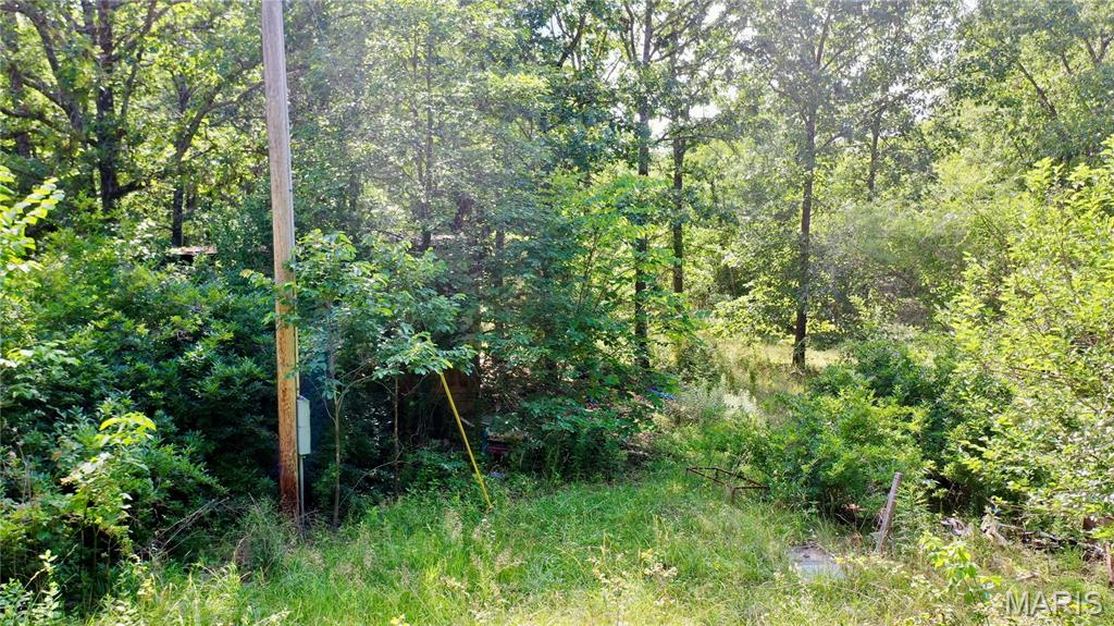 Photo of 203 County Road 3330, Salem, MO 65560 (MLS # 26038450)