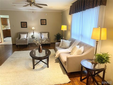 Tiny photo for 15561 Highcroft Drive, Chesterfield, MO 63017 (MLS # 25078866)