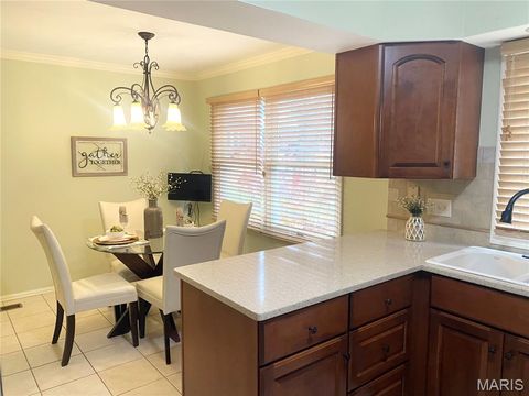 Tiny photo for 15561 Highcroft Drive, Chesterfield, MO 63017 (MLS # 25078866)