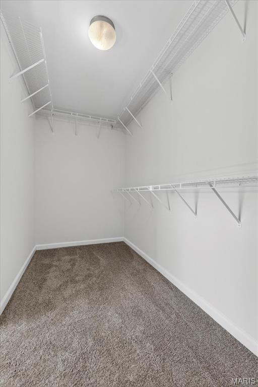 Newport Meadow #1 - Residential