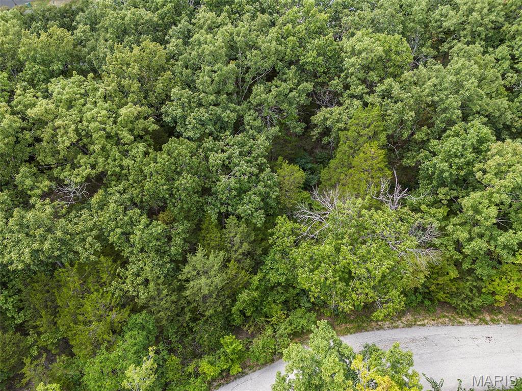 Raintree Plantation Sec 08 Lot 53 - Land