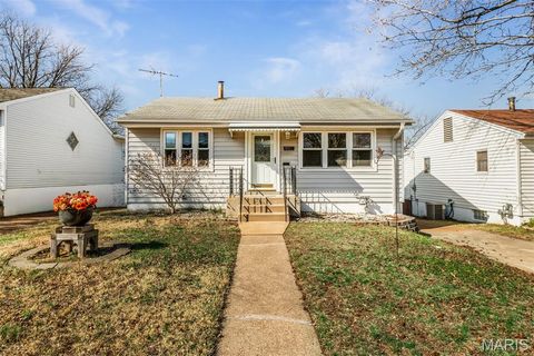 Photo of 6437 Colletta Drive, St Louis, MO 63139 (MLS # 26016315)