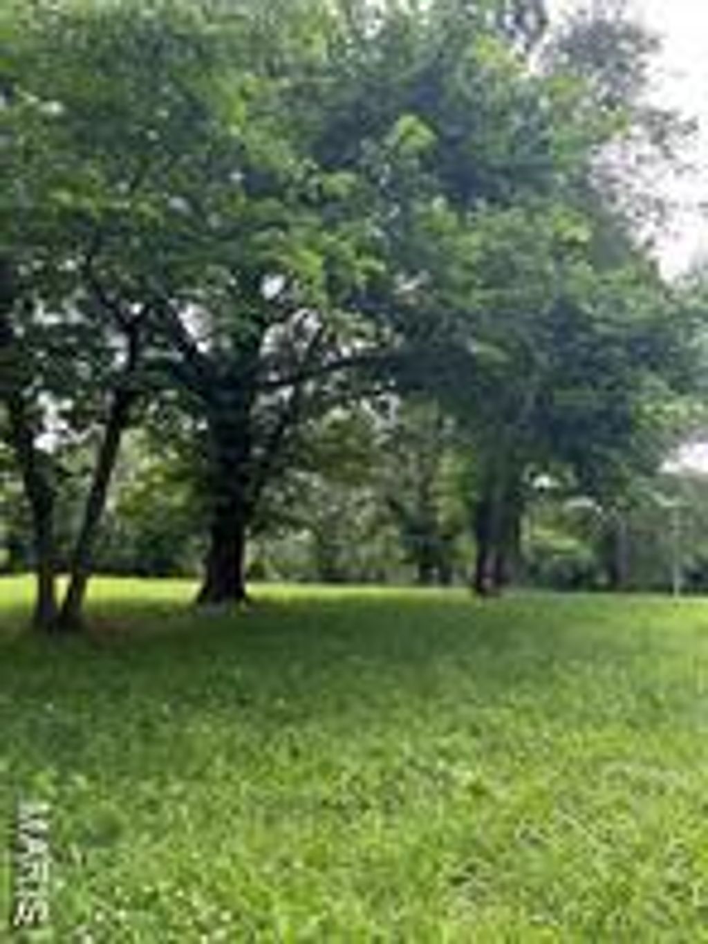 Photo of 425 Hickory Street, Steelville, MO 65565 (MLS # 25073412)