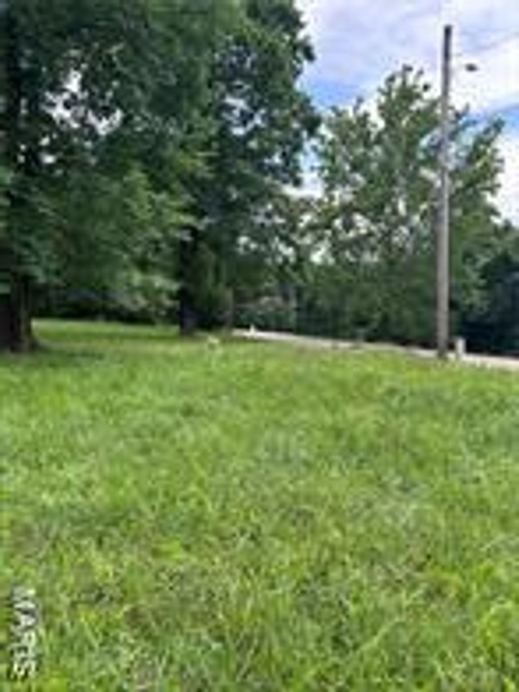 Photo of 425 Hickory Street, Steelville, MO 65565 (MLS # 25073412)