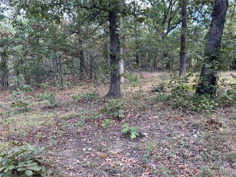 Tiny photo for 895 Partridge Drive, Climax Springs, MO 65324 (MLS # 26061754)