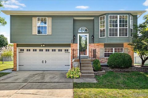 2406 Lombard Lane Imperial MO 63052