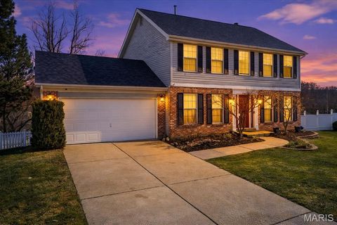 16277 Autumn View Terrace Drive Ellisville MO 63011