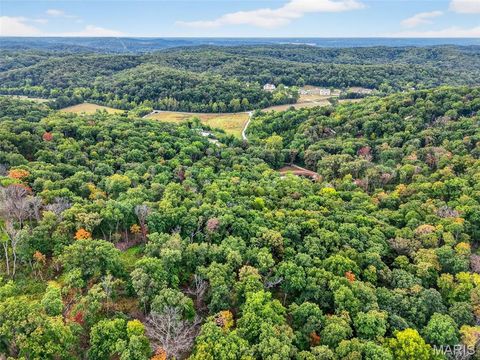 Tiny photo for 18 State Hwy D, Marthasville, MO 63357 (MLS # 26003889)