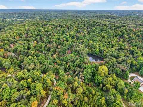 Tiny photo for 18 State Hwy D, Marthasville, MO 63357 (MLS # 26003889)