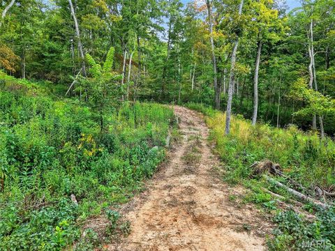 Tiny photo for 18 State Hwy D, Marthasville, MO 63357 (MLS # 26003889)