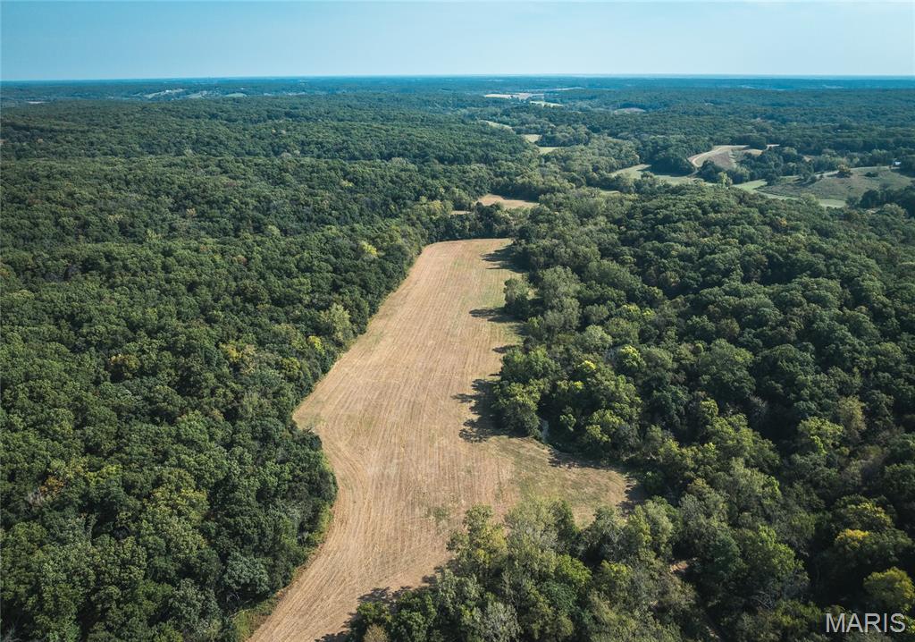 00 Spring Creek Road