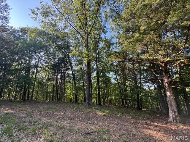 110 Steeple Point Dr. Lot # 14 Drive