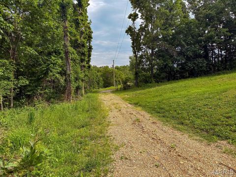 Tiny photo for 7599 Pine Tree Ln. LN, Bloomsdale, MO 63627 (MLS # 26031167)