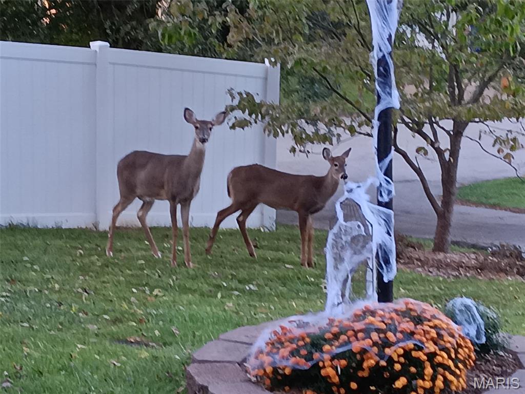 Imperial, Missouri 63052, United States, 3 Bedrooms Bedrooms, ,2 BathroomsBathrooms,Residential,Coming Soon,229415