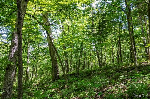 Tiny photo for 2126 Krenning Road, Beaufort, MO 63013 (MLS # 26030328)
