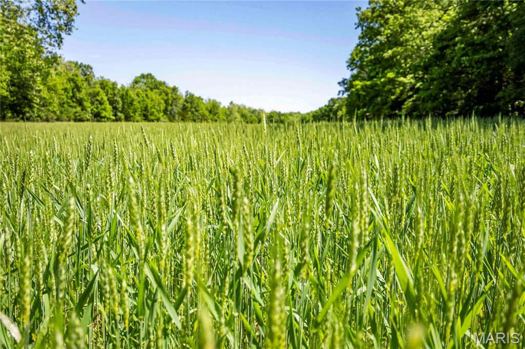N/A - Farm