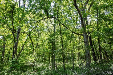 Tiny photo for 2126 Krenning Road, Beaufort, MO 63013 (MLS # 26030328)