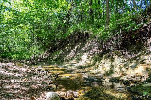 Tiny photo for 2126 Krenning Road, Beaufort, MO 63013 (MLS # 26030328)