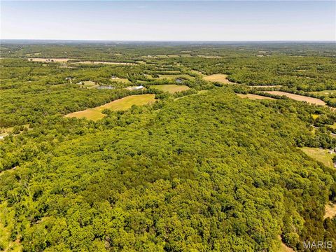 Tiny photo for 2126 Krenning Road, Beaufort, MO 63013 (MLS # 26030328)