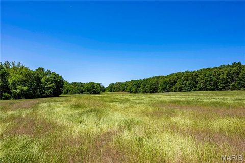 Tiny photo for 2126 Krenning Road, Beaufort, MO 63013 (MLS # 26030328)