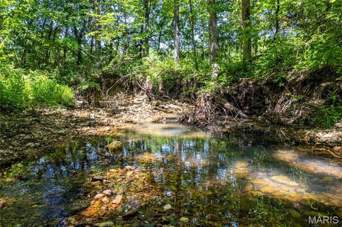 Tiny photo for 2126 Krenning Road, Beaufort, MO 63013 (MLS # 26030328)