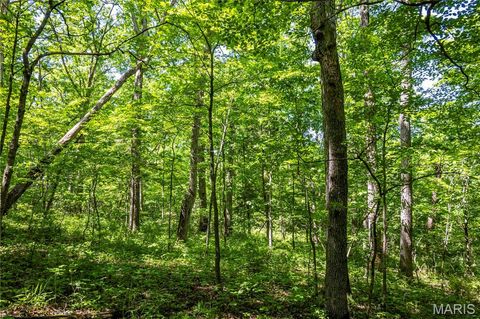 Tiny photo for 2126 Krenning Road, Beaufort, MO 63013 (MLS # 26030328)