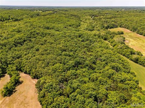 Tiny photo for 2126 Krenning Road, Beaufort, MO 63013 (MLS # 26030328)