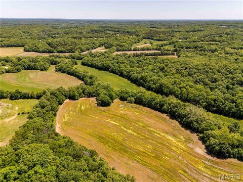 Tiny photo for 2126 Krenning Road, Beaufort, MO 63013 (MLS # 26030328)