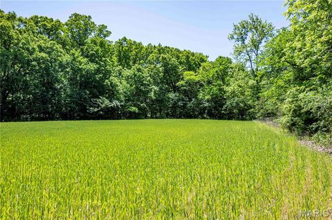 Tiny photo for 2126 Krenning Road, Beaufort, MO 63013 (MLS # 26030328)