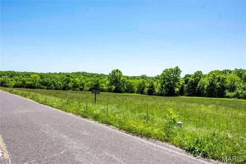 Tiny photo for 2126 Krenning Road, Beaufort, MO 63013 (MLS # 26030328)