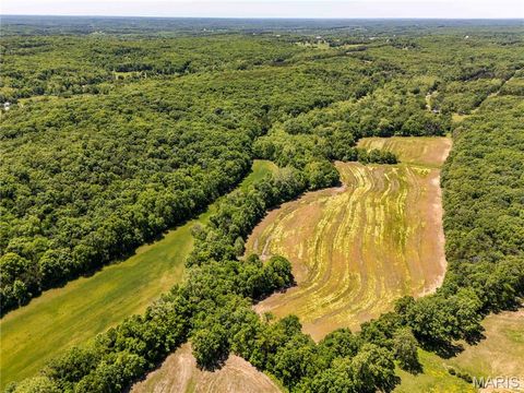 Tiny photo for 2126 Krenning Road, Beaufort, MO 63013 (MLS # 26030328)