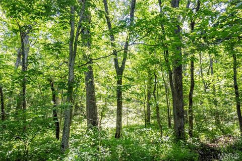 Tiny photo for 2126 Krenning Road, Beaufort, MO 63013 (MLS # 26030328)