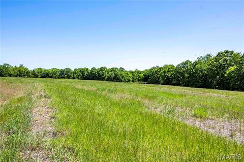 Tiny photo for 2126 Krenning Road, Beaufort, MO 63013 (MLS # 26030328)