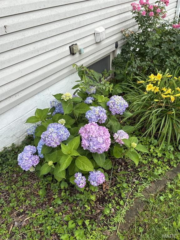 Forest Heights - Residential