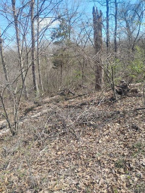 Tiny photo for 13790 E Sunrise Lakes Drive, De Soto, MO 63020 (MLS # 26030548)
